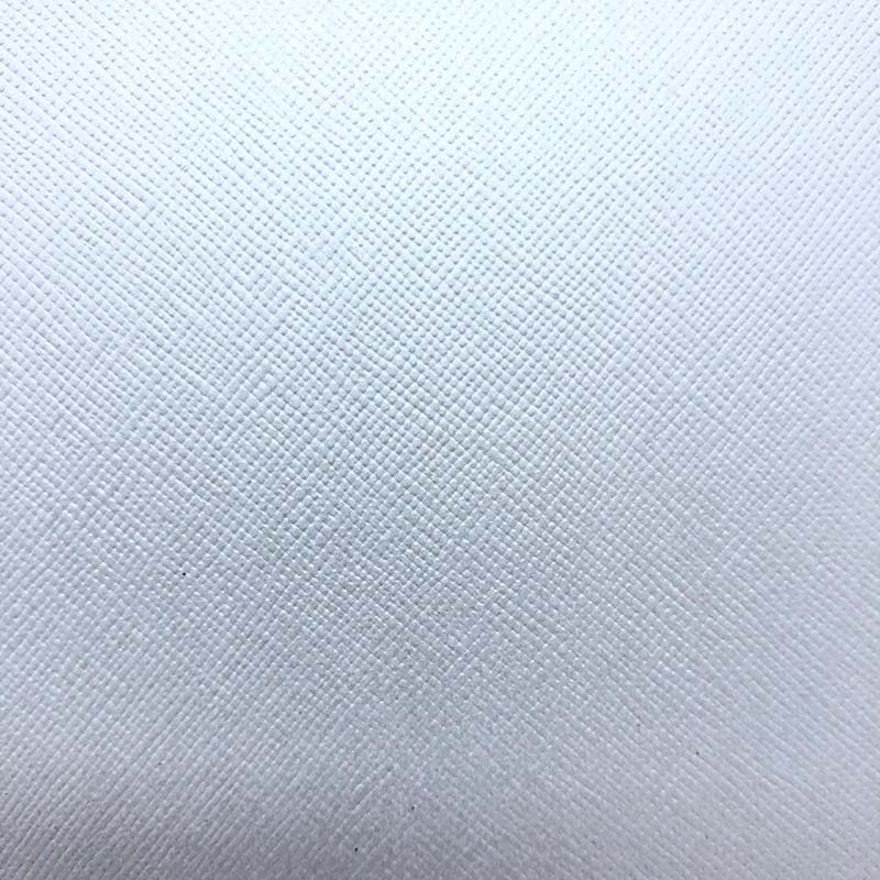 Metallic Embossed Cardstock Aspen Ref 91