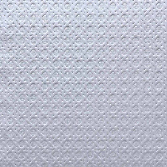 Textured Paper Ref 91 White Indian Straw