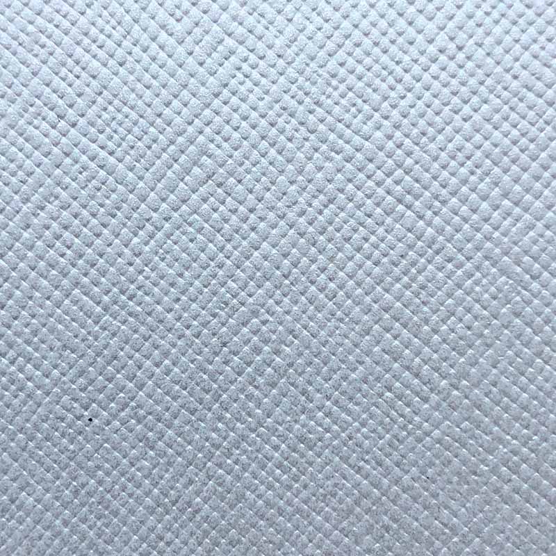 Metallic Embossed Cardstock Aspen Ref 91